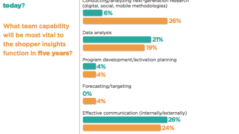 Team Capabilities Vital to Shopper Insights Function